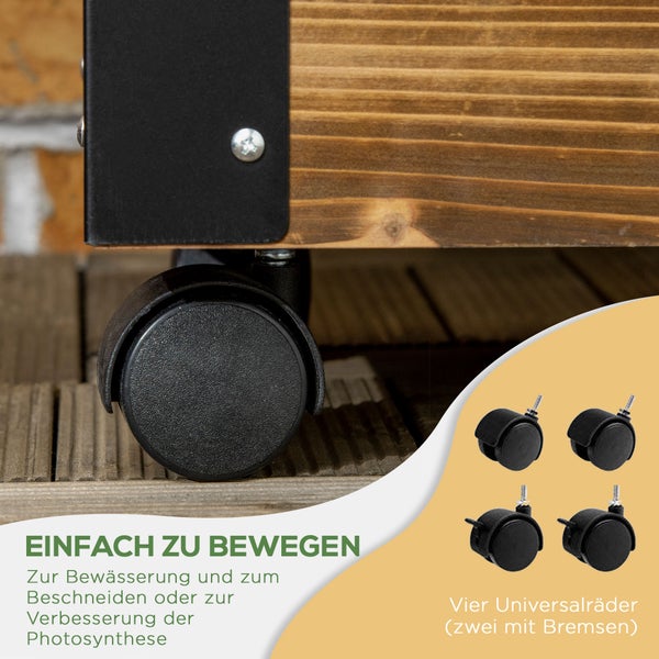 Steckschlüsselsatz in geöffnetem, blauem Kunststoffkoffer