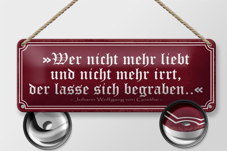 Blechschild Spruch 27x10cm wer nicht mehr liebt und irrt Dekoration
