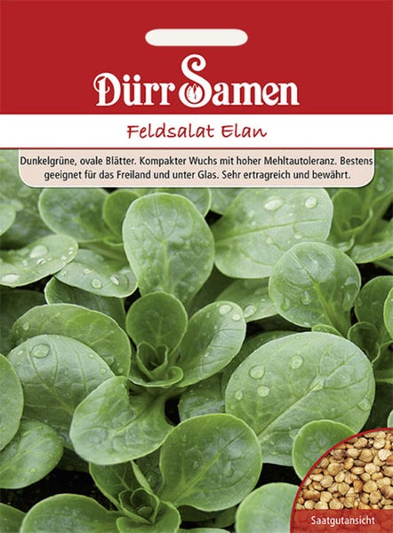 Samentüte für Feldsalat Elan von Dürr Samen mit Abbildung der ovalen grünen Blätter und einer Detailansicht der Samen.