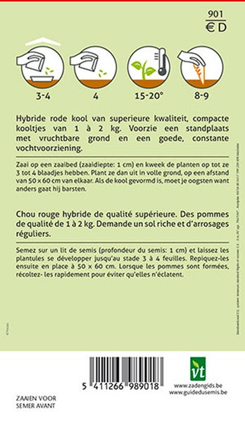 Informationen zur Aussaat von Rotkohl