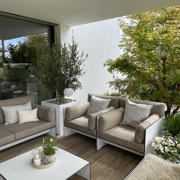 Moderne Gartenlounge auf einer Terrasse mit Sofa, Sesseln und Couchtisch. Weiße Gestelle, beige Polster und Olivenbaum im weißen Pflanzkübel.