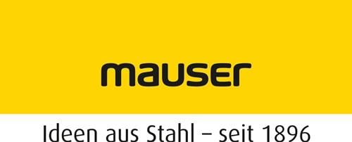 mauser 10x Längsteiler für Regalkasten L 600 x H 90 mm - 31002203