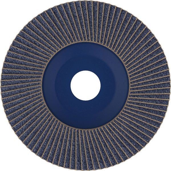 Fächerscheibe für Winkelschleifer