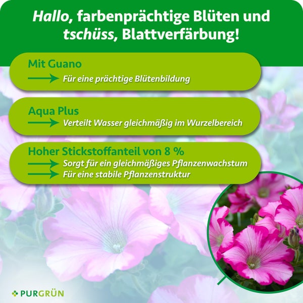 Infografik für Blumendünger von Purgrün mit Informationen zu Guano, Aqua Plus und Stickstoffgehalt für prächtige Blüten.