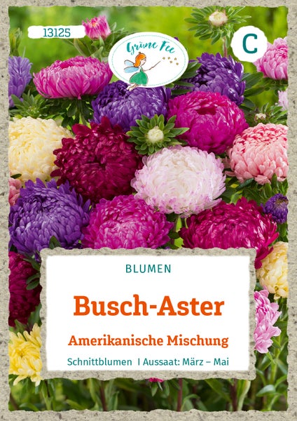 Samentüte für Busch-Aster Amerikanische Mischung, Grüne Fee Logo. Geeignet als Schnittblumen. Aussaat von März bis Mai.
