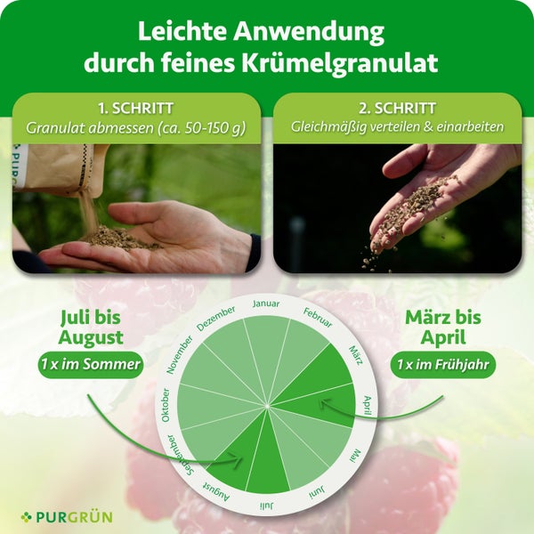 Anwendungshinweise und Düngekalender für Purgrün Granulat mit zwei Schritten zur Dosierung und Ausbringung sowie Zeiträumen von März bis August.