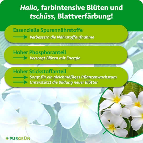 Infografik zum Purgrün Pflanzendünger mit Vorteilen zu Spurennährstoffen, Phosphor und Stickstoff für gesundes Pflanzenwachstum und Blüten.