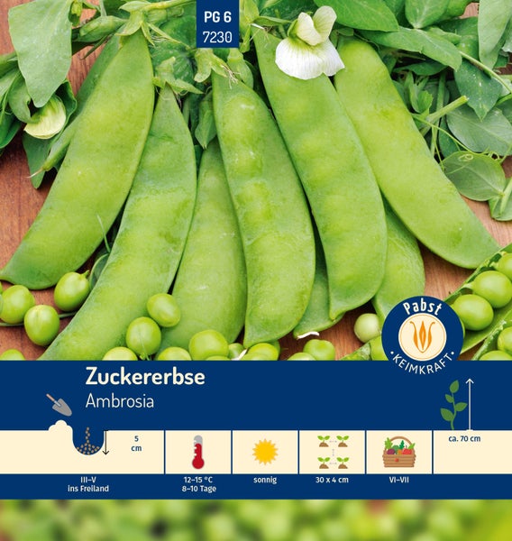 Zuckererbse Ambrosia Samen. Aussaat März-Mai, Tiefe 5 cm, sonnig, Ernte Juni-Juli, Wuchshöhe circa 70 cm. Pabst Keimkraft Logo.