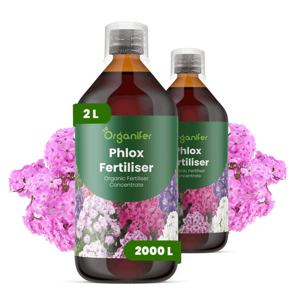 Zwei Flaschen Organifer Phlox-Dünger, organisches Düngerkonzentrat, 2 Liter, ausreichend für 2000 Liter.