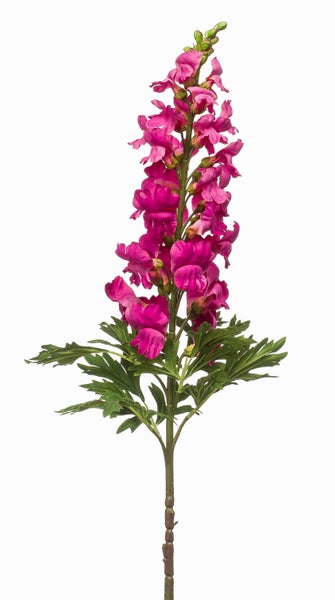Künstliches Löwenmäulchen mit pinkfarbenen Blüten und grünen Blättern.