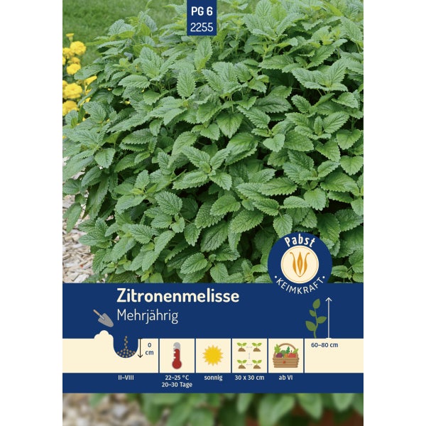 Zitronenmelisse ausdauernd & aromatisch Samen von Pabst Keimkraft