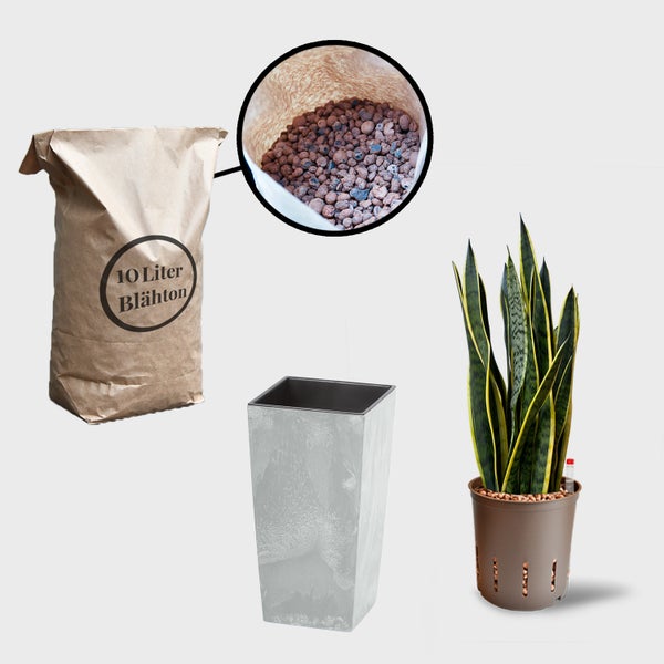 Abbildung eines 10 Liter Sackes Blähton, eines Pflanzgefäßes und einer Grünpflanze.