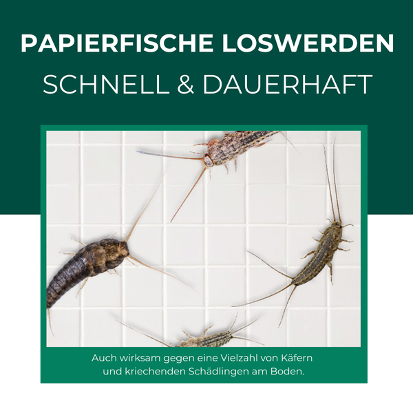 Darstellung von mehreren Papierfischen auf Fliesen