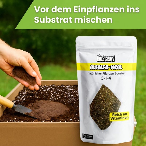 Eine Hand mischt Alfalfa-Meal-Pflanzenbooster in ein Substrat vor dem Einpflanzen.