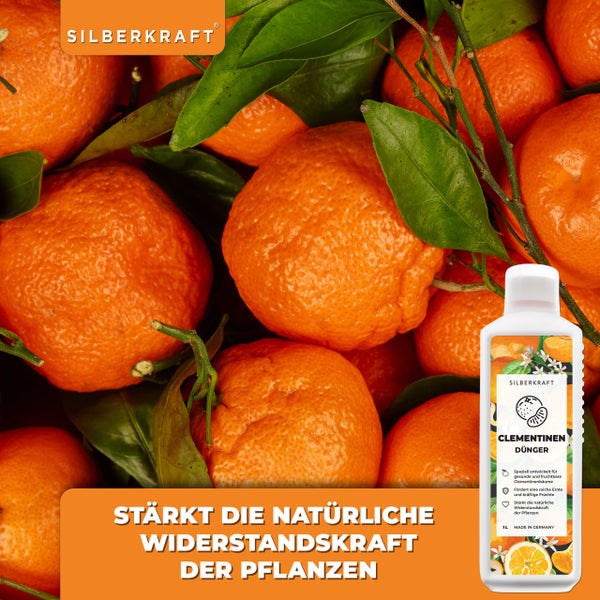 SILBERKRAFT Clementinen Dünger – Für Clementinen & Mandarinen – 1 Liter