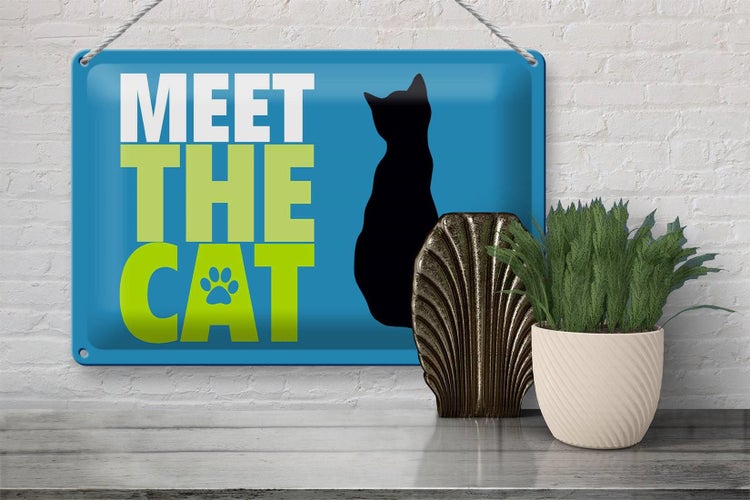 Blechschild Spruch 30x20cm meet the cat Katze