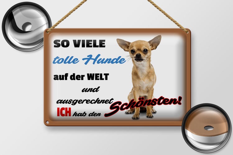 Blechschild Spruch 30x20cm ich hab den schönsten Hund