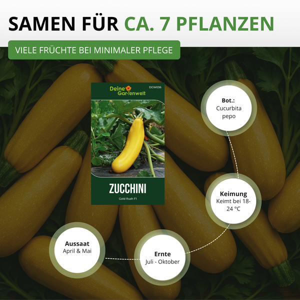 Deine Gartenwelt Zucchini Gold Rush F1 Samen für circa 7 Pflanzen. Aussaat April bis Mai, Ernte Juli bis Oktober, Keimung bei 18 bis 24 Grad.