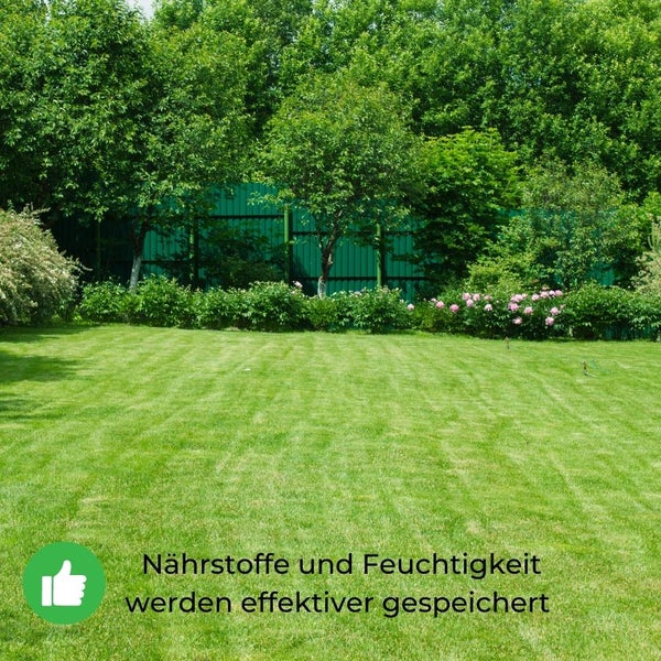 Rasenkalk 20 Kg 400m² Garten Kalk für Rasen Kalkgestein Düngekalk Dünger Rasendünger Aktivator Moosvernichter für Rasen