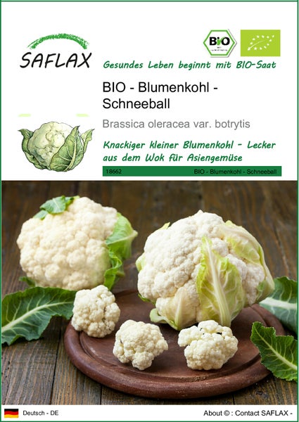 SAFLAX  - BIO - Blumenkohl - Schneeball - Brassica oleracea var. botrytis - 70 Samen