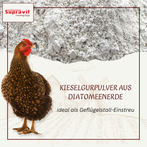 Kieselgurpulver aus Diatomeenerde als Einstreu für Geflügelställe, abgebildet mit einer Henne und Pulver. Supravit Farming Days Logo.