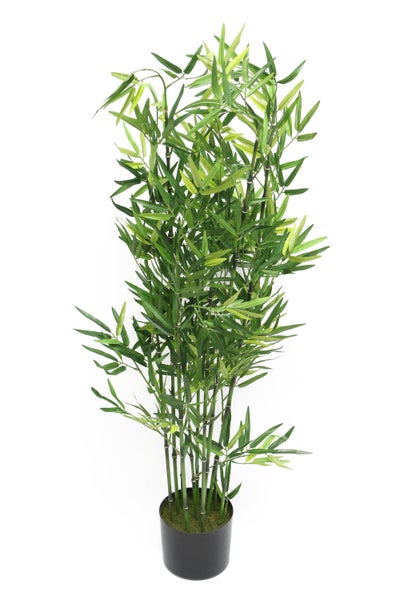 FRANK FLECHTWAREN | Pflanze Bambus, KUNSTSTOFF, Topf Ø 15 cm, GH 115 cm, ohne Übertopf