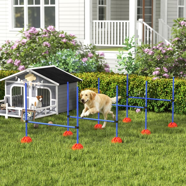 Golden Retriever springt über eine Hürde eines Hunde-Agility-Sets aus Kunststoff in einem hellen Garten neben einer Hundehütte.