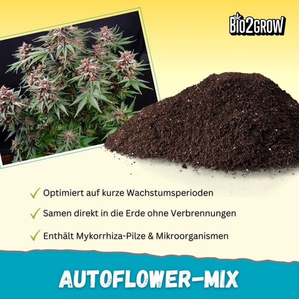 Bio2Grow Autoflower-Mix Pflanzerde mit Pflanze