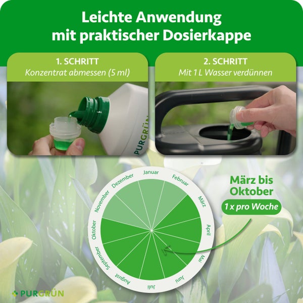 Anleitung für Düngerkonzentrat: 5 Milliliter abmessen, mit 1 Liter Wasser mischen. Anwendung März bis Oktober einmal wöchentlich. Purgrün Logo.