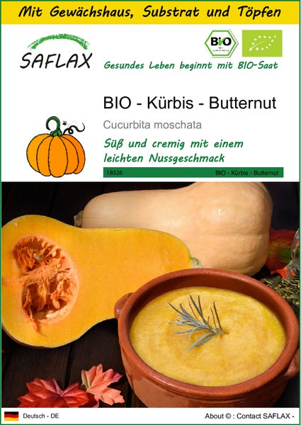 SAFLAX Anzucht Set - BIO - Kürbis - Butternut - Cucurbita moschata - 6 Samen - Mit Mini-Gewächshaus, Anzuchtsubstrat und 2 Töpfen