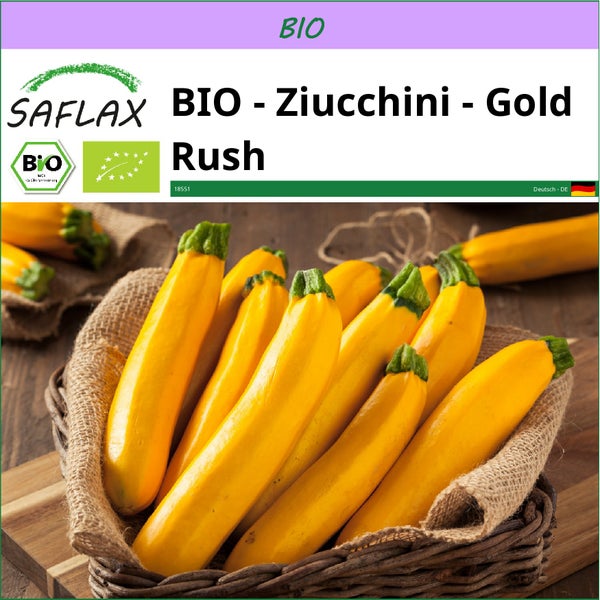 SAFLAX  - BIO - Ziucchini - Gold Rush - Cucurbita pepo var. cylindrica - 5 Samen