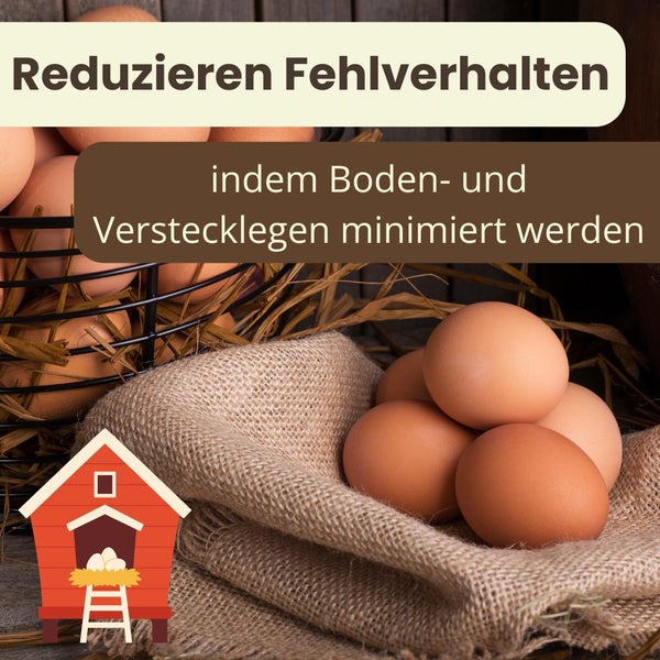Reduzieren Sie Fehlverhalten, indem Boden- und Verstecklegen minimiert werden. Darstellung von Eiern im Korb und auf Jute mit einem Hühnerstall.