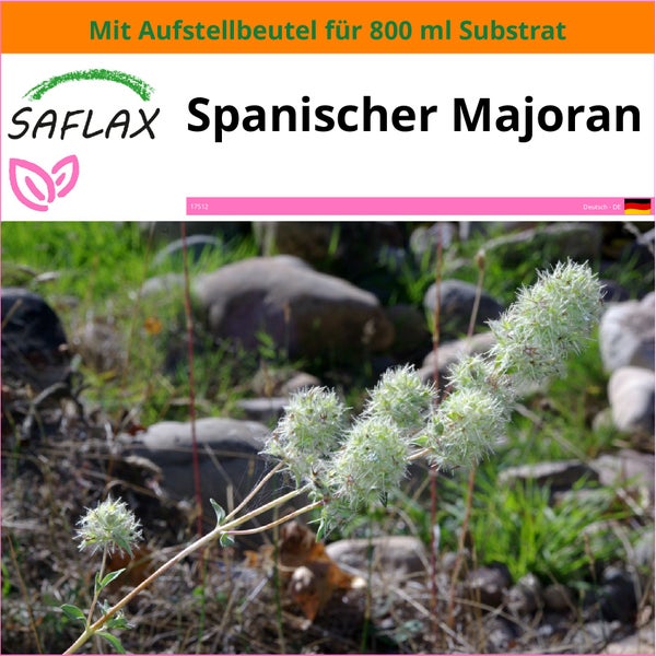 SAFLAX Garden in the bag - Spanischer Majoran - Thymus mastichina - 250 Samen - Mit Anzuchtsubstrat im praktischen, selbst aufstellenden Beutel