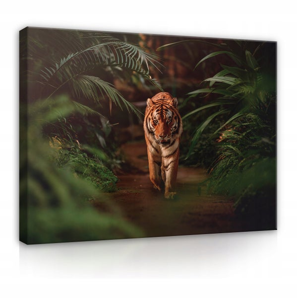 Leinwandbild Tiger Natur Modern Bilder Wohnzimmer 120X80 cm