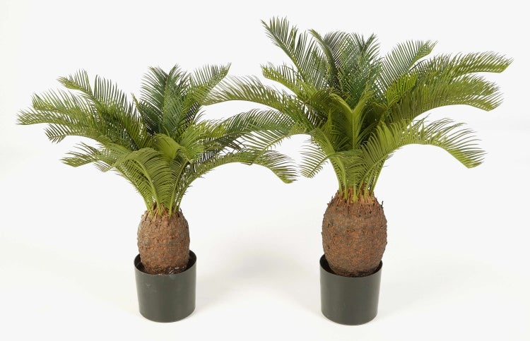 Künstlicher Ficus Alii im schwarzen Topf mit braunem strukturiertem Stamm, herabhängenden Luftwurzeln und schmalen grünen Blättern.