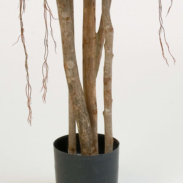 Detailansicht von künstlichen Pflanzenstämmen mit feinen Luftwurzeln in einem schlichten schwarzen Kunststofftopf.