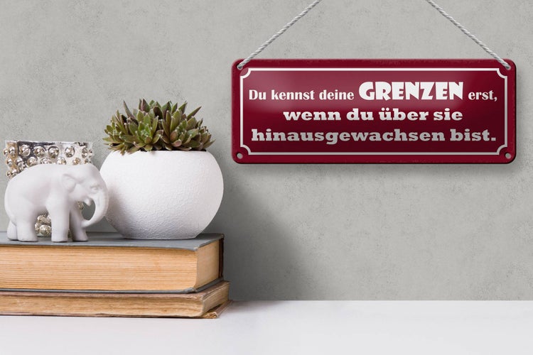 Blechschild Spruch 27x10cm kennst deine Grenzen erst wenn Dekoration