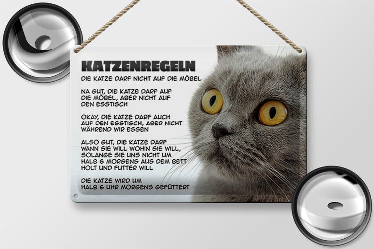 Blechschild Spruch 30x20cm Katzenregeln Katze darf nicht