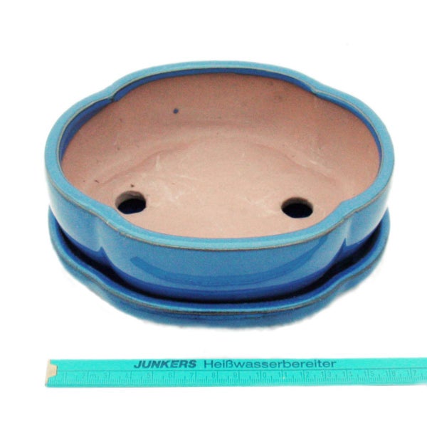 Blaue Bonsaischale aus glasiertem Keramik mit passendem Untersetzer und Entwässerungslöchern, circa 15 Zentimeter breit.