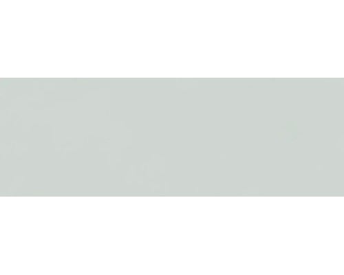 Rechteckige Wandfliese in Hellgrau mit glatter Oberfläche.