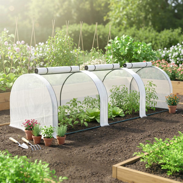 Hell gestaltetes Tunnelgewächshaus im Garten mit verschiedenen Pflanzen und Gartenwerkzeug.