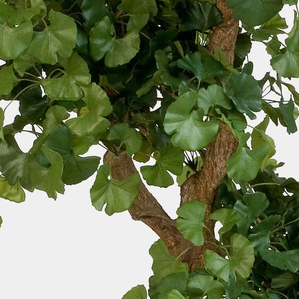 Detail eines künstlichen Ginkgobaums mit grünen, fächerförmigen Blättern und strukturierter Rinde.