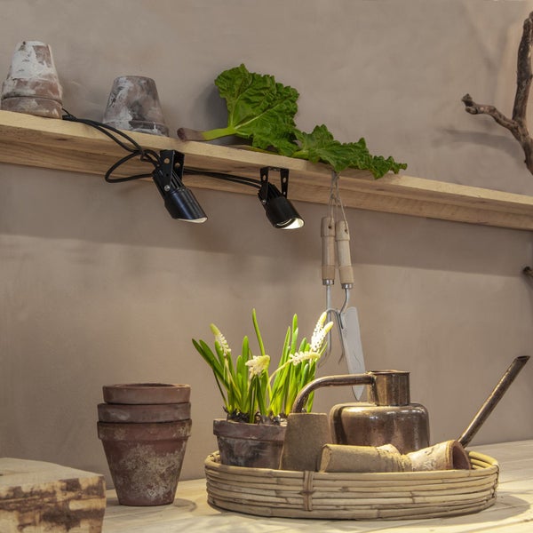 Dekorative Szene mit Pflanzzubehör, inklusive Töpfen, Gießkanne und Pflanzen auf einem Regal