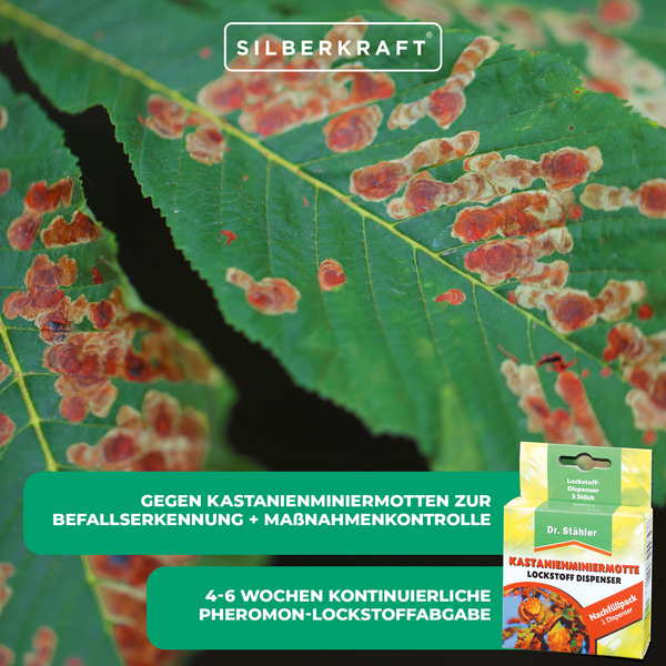 Kastanienminiermotte Lockstoffdispenser – Effektive Pheromonfallen für den Schutz von Rosskastanien – Einfache Anwendung für Garten & öffentliche Anlagen