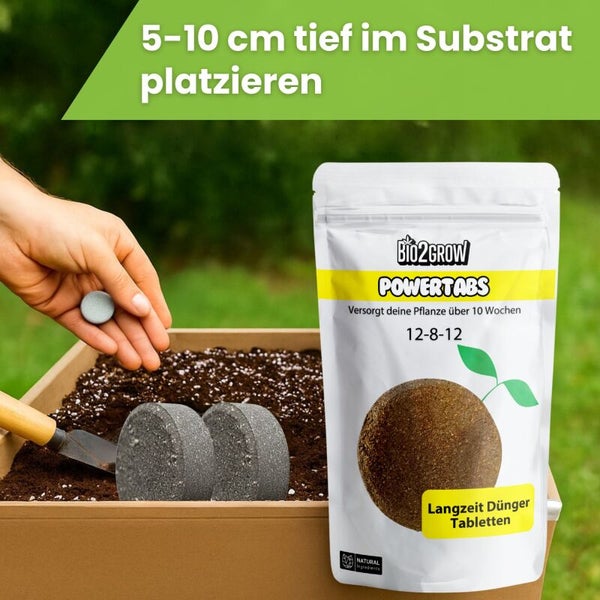 Bio2Grow Power Tabs Langzeitdünger Tabletten in Anwendung mit Pflanzwerkzeug und Pflanzsubstrat
