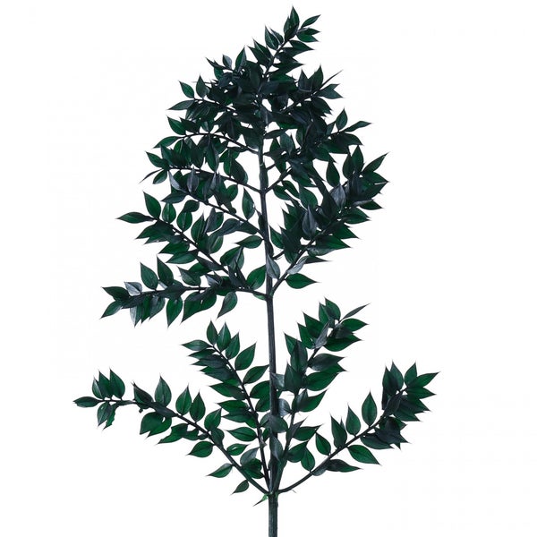 Künstlicher Ruscus Zweig mit dunkelgrünen, spitz zulaufenden Blättern für dekorative Zwecke.