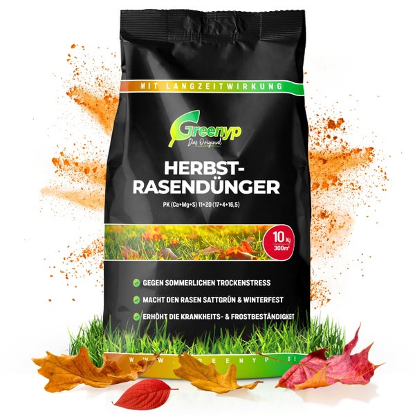 Greenyp Herbstrasendünger Langzeit I 10kg / 300m² I mit 90 Tage Langzeitwirkung + extra Kalium I macht den Rasen Winterfest I Herbstdünger Rasen