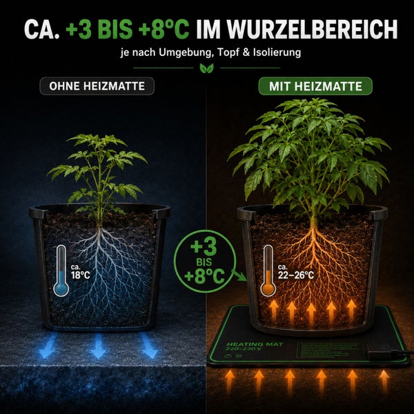 Vergleichsgrafik zur Wirkung einer Heizmatte auf die Temperatur im Wurzelbereich einer Pflanze mit einer Temperaturerhöhung von 3 bis 8 Grad.