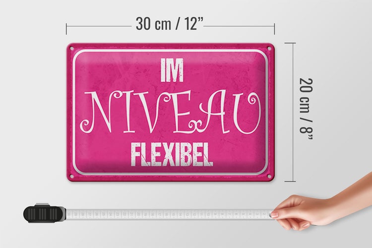 Blechschild Spruch 30x20cm Im NIVEAU flexibel