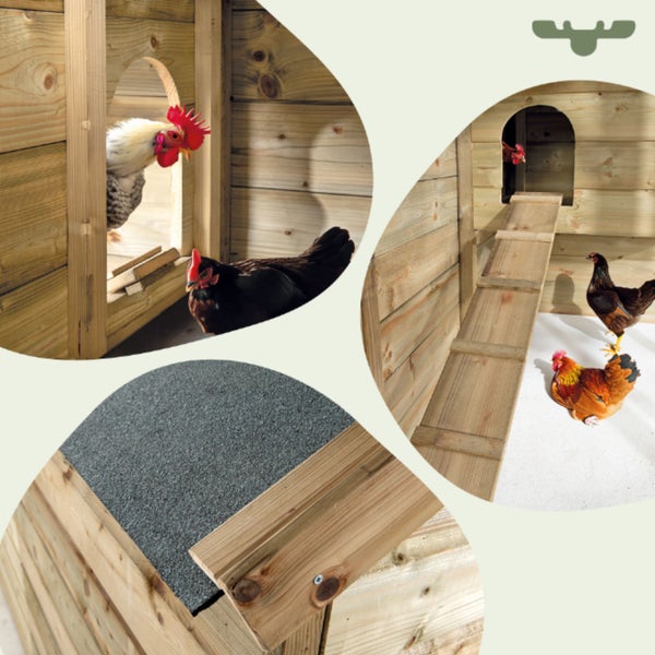 Hühnerstall aus Holz mit Rampe und Bitumendach